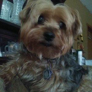 Meet your Posher, Debra